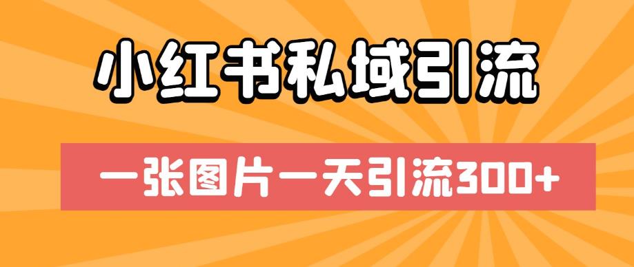 小红书私域引流，一张图片一天引流300 【揭秘】