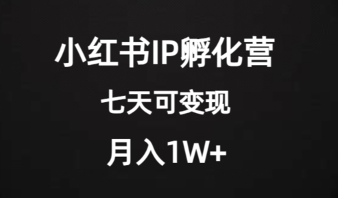 价值2000 的小红书IP孵化营项目，超级大蓝海，七天即可开始变现，稳定月入1W 