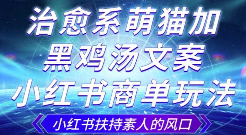 治愈系萌猫加 黑鸡汤文案，小红书商单玩法，3~10天涨到1000粉，一单200左右