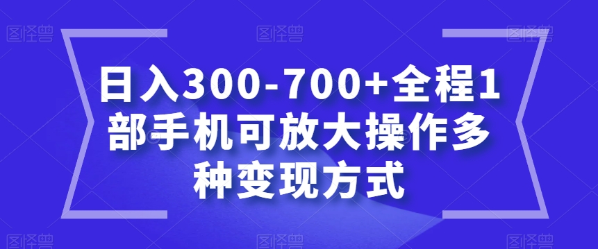 日入300-700 全程1部手机可放大操作多种变现方式【揭秘】