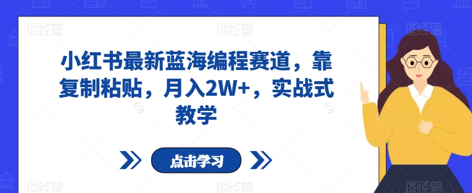 小红书最新蓝海编程赛道，靠复制粘贴，月入2W ，实战式教学【揭秘】