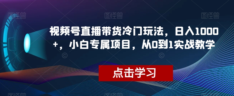 视频号直播带货冷门玩法，日入1000 ，小白专属项目，从0到1实战教学【揭秘】