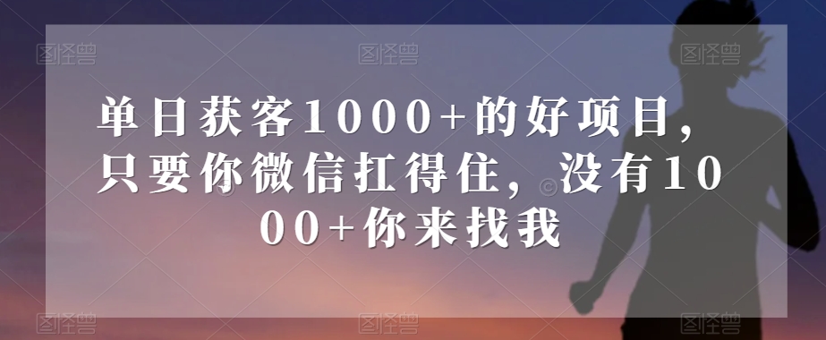 单日获客1000 的好项目，只要你微信扛得住，没有1000 你来找我【揭秘】