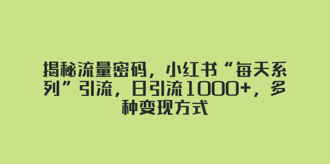 （8179期）揭秘流量密码，小红书“每天系列”引流，日引流1000 ，多种变现方式